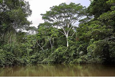 一战FPS游戏《伊松佐河》发售 Steam特别好评